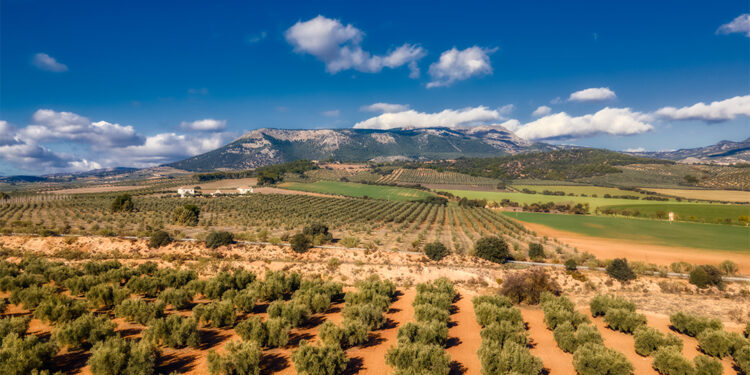 Aprobado el proyecto para el acondicionamiento y puesta en valor del Camino de Huerta Majá.