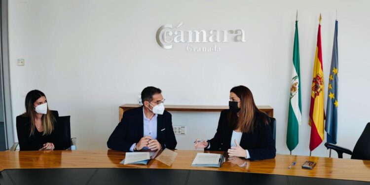 El Ayuntamiento de Íllora y la Cámara de Comercio de Granada firman un convenio de colaboración destinado a potenciar el desarrollo económico del municipio.