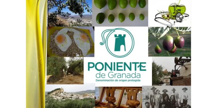 La DOP Poniente de Granada entrega sus Premios a la Calidad 2022