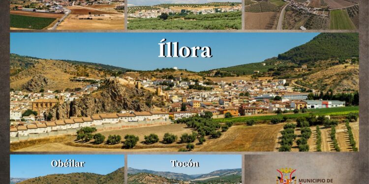 illora.com, el nuevo portal  web y app municipal