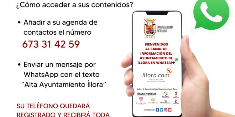 Canal informativo en WhatsApp