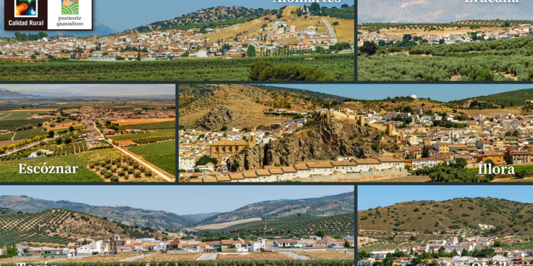 El Ayuntamiento de Íllora, distinguido con la Marca de Calidad Territorial “Poniente Granadino”.