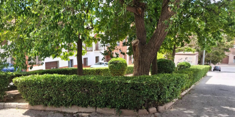 La Concejalía de Mantenimiento inicia una nueva campaña de limpieza y mejora de espacios públicos