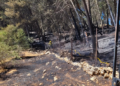Estabilizado el incendio forestal en Los Ulagares tras calcinar dos hectáreas de pinar
