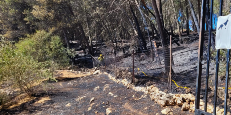 Estabilizado el incendio forestal en Los Ulagares tras calcinar dos hectáreas de pinar