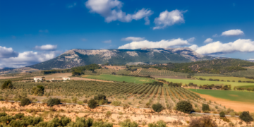 El ayuntamiento vuelve a reclamar a la Junta la limpieza inmediata de la Sierra de Parapanda ante el riesgo de incendio