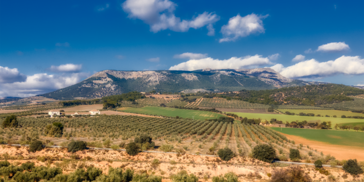 El ayuntamiento vuelve a reclamar a la Junta la limpieza inmediata de la Sierra de Parapanda ante el riesgo de incendio